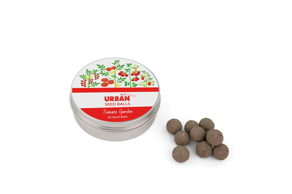 Tin of Seed Balls - Tomato Garden