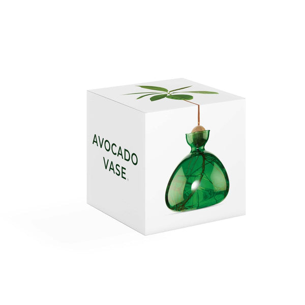 Avocado Vase - Emerald