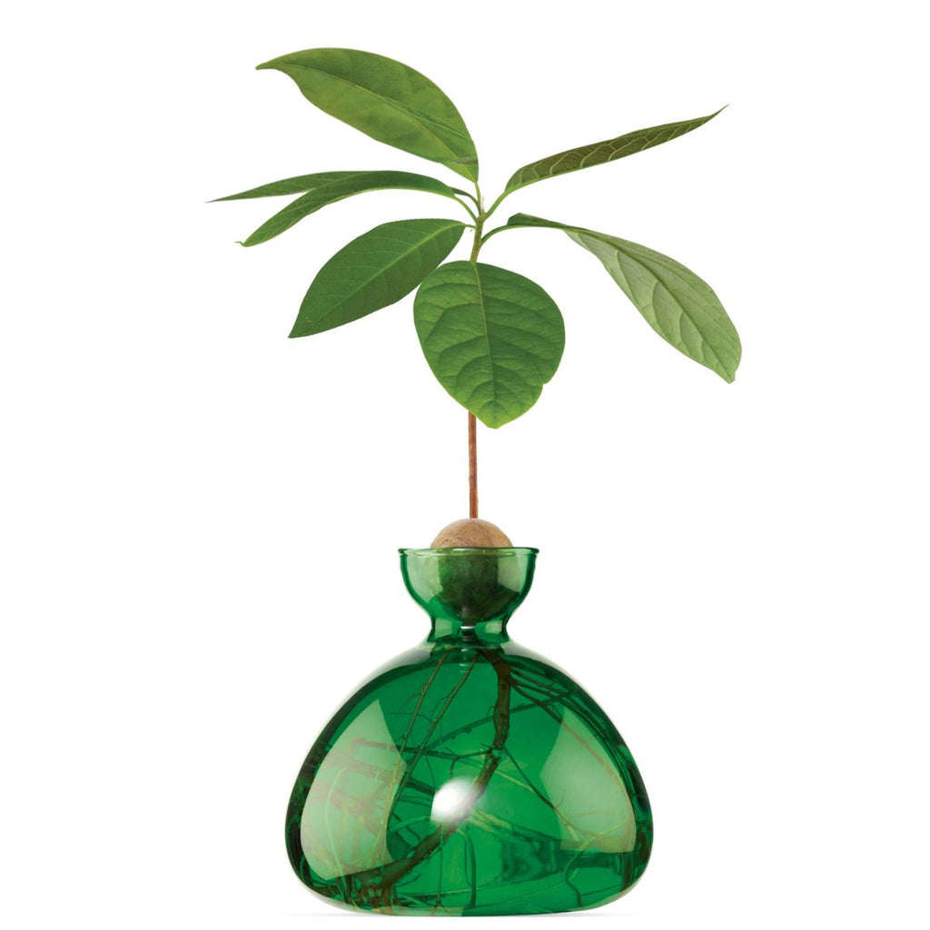 Avocado Vase - Emerald
