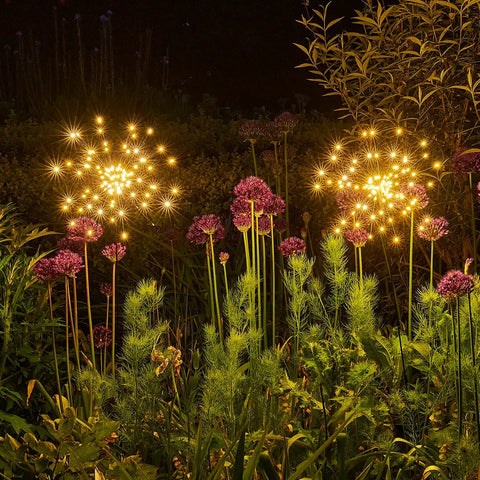 Star Burst Solar Light