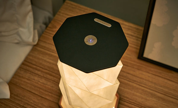 Gingko - Twist Hexagon Lamp - Black