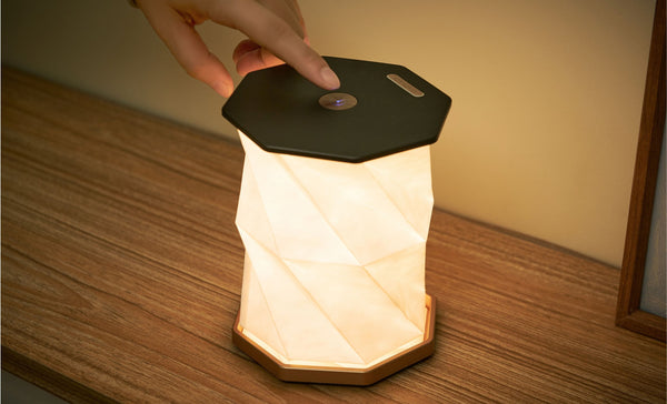 Gingko - Twist Hexagon Lamp - Black