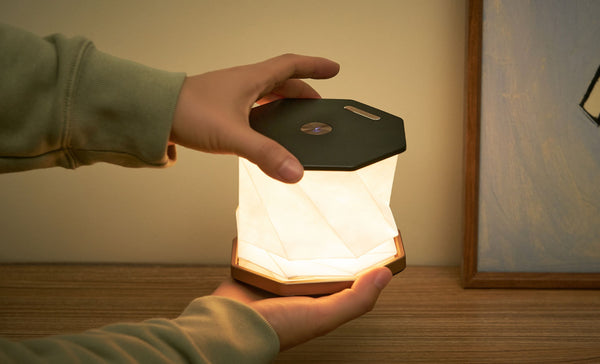 Gingko - Twist Hexagon Lamp - Black