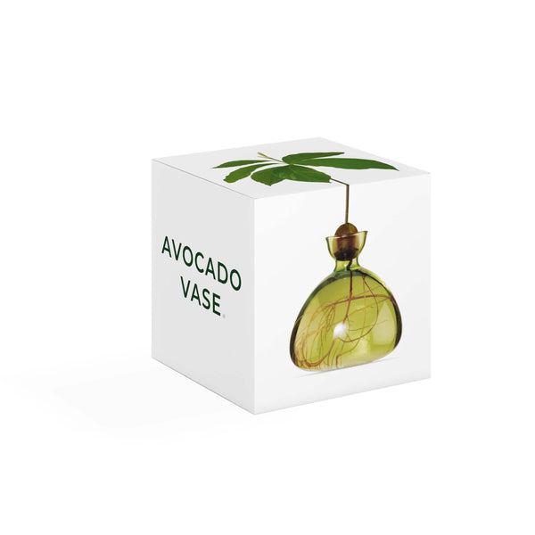 Avocado Vase - Green