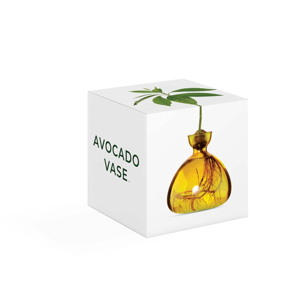 Avocado Vase - Amber