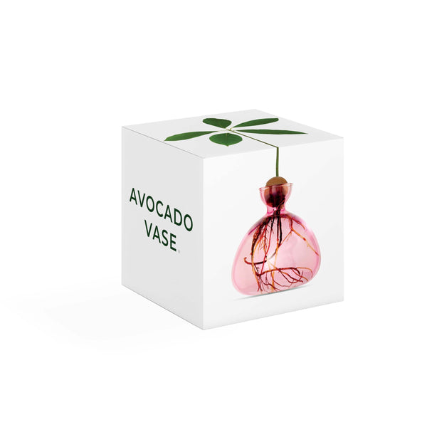 Avocado Vase - Pink