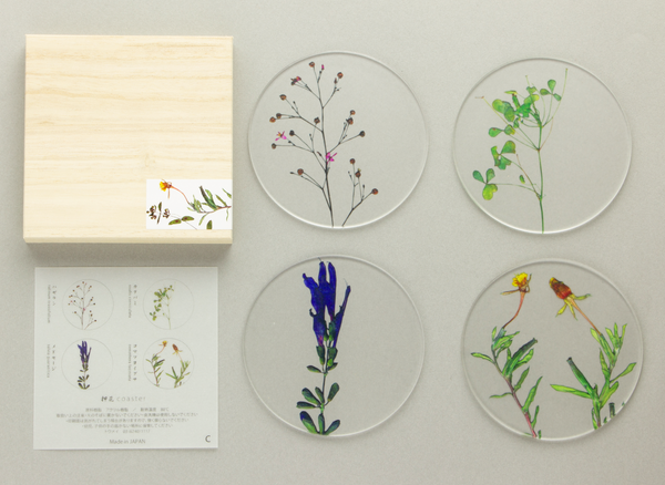Set of 4 Coasters in a box - Botanics C
