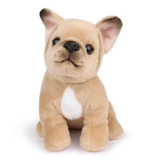 Phillippe the French Bulldog