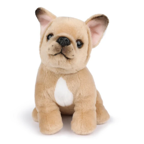 Phillippe the French Bulldog