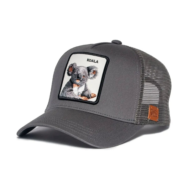 Koala Cap