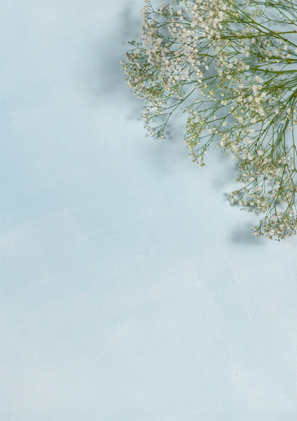 Lime Wash Paint - BLEU DE LIN