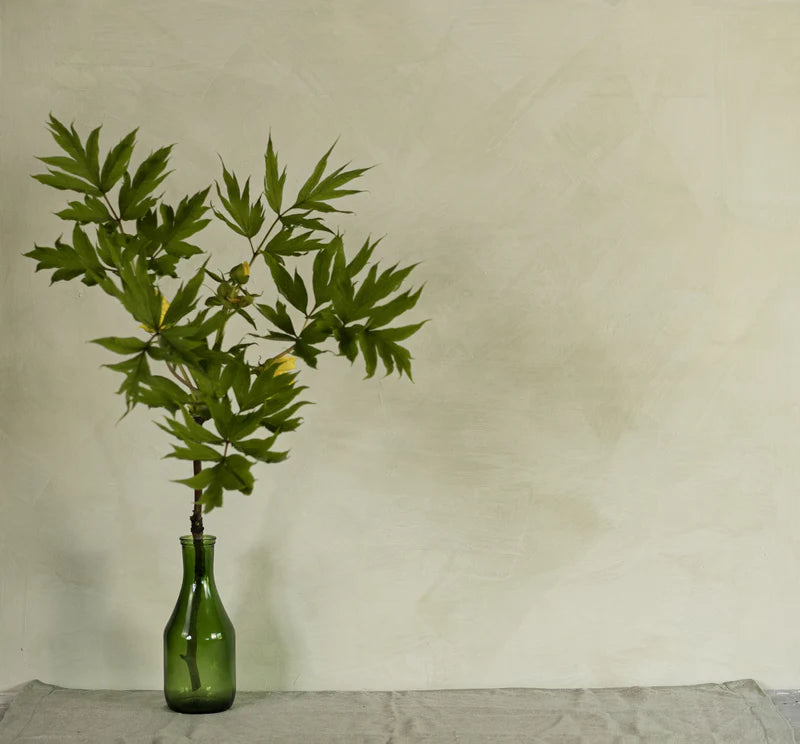 Lime Wash Paint - OLIVE