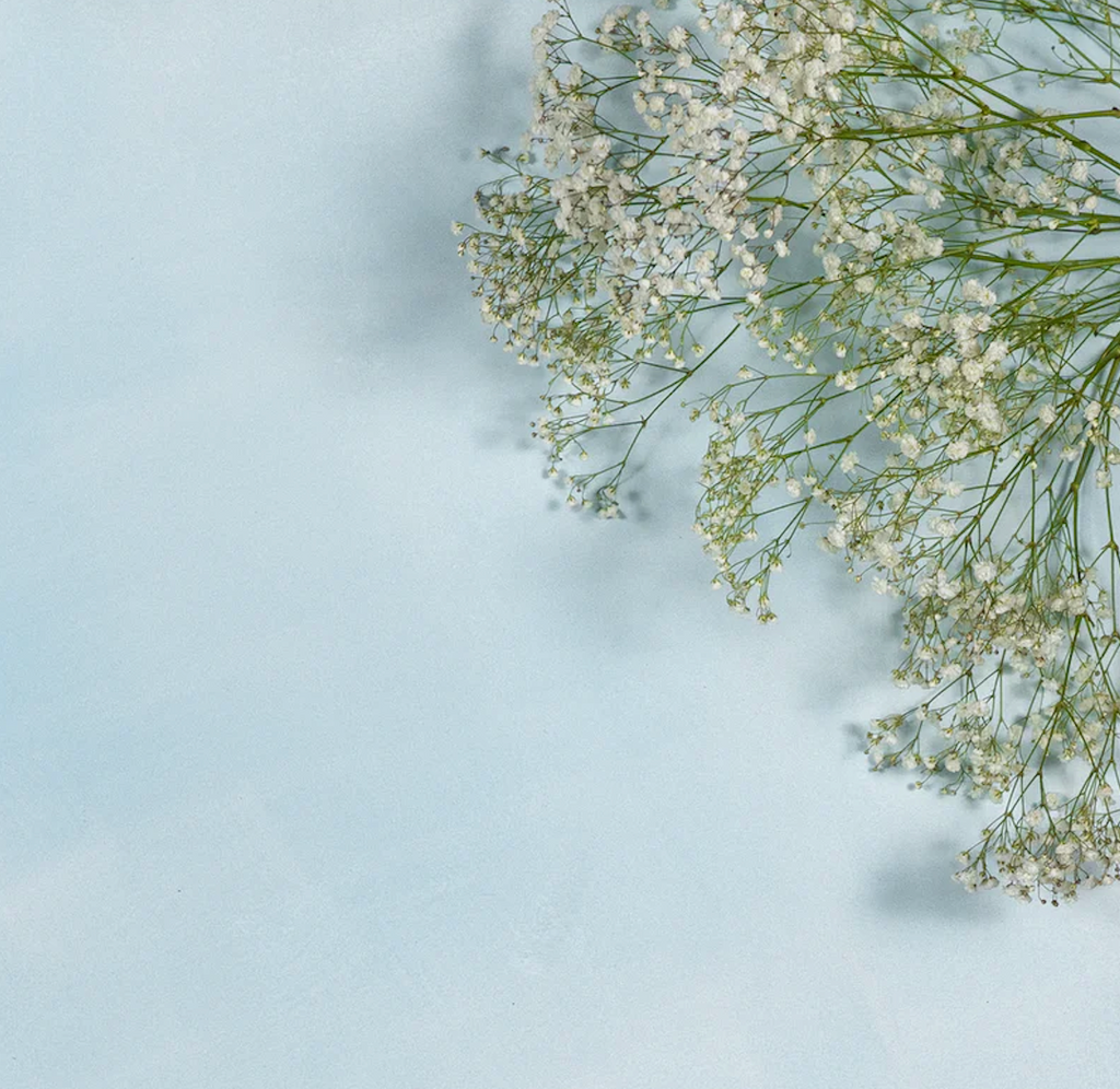 Lime Wash Paint - BLEU DE LIN