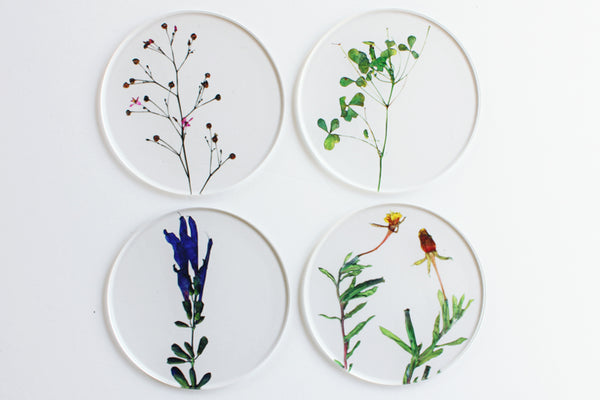 Set of 4 Coasters in a box - Botanics C