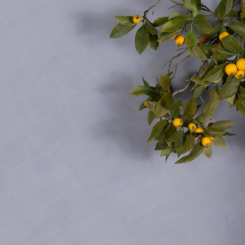 Lime Wash Paint - VIOLETTE