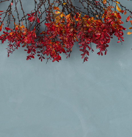 Lime Wash Paint - CIEL DU SOIR