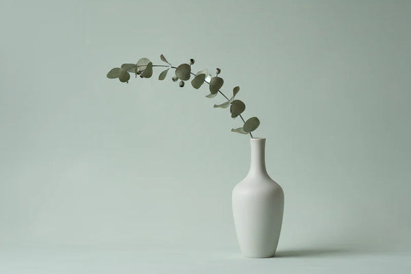 Lime Wash Paint - LICHEN