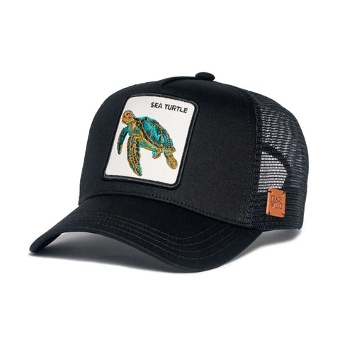 Sea Turtle Cap
