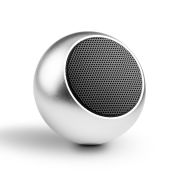 Mini Bluetooth Speaker - Silver