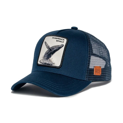 Humpback Whale Cap