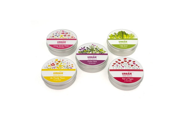 Tin of Seed Balls - Kitchen Herbs