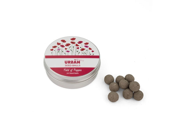 Tin of Seed Balls - Field of Poppies