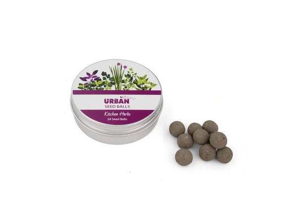 Tin of Seed Balls - Kitchen Herbs