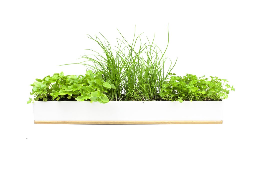Windowsill Kit Micro Herbs Marcus & Burton