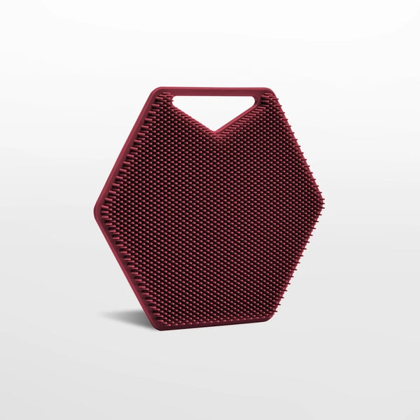 The Body Scrubber